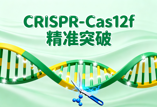 CRISPR-Cas12fͻƣ0.1A݋zί·ʽ